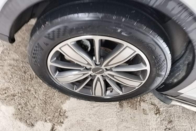 Used Haval H6 2021 1.5T Automatic Champion Edition Exterior 2