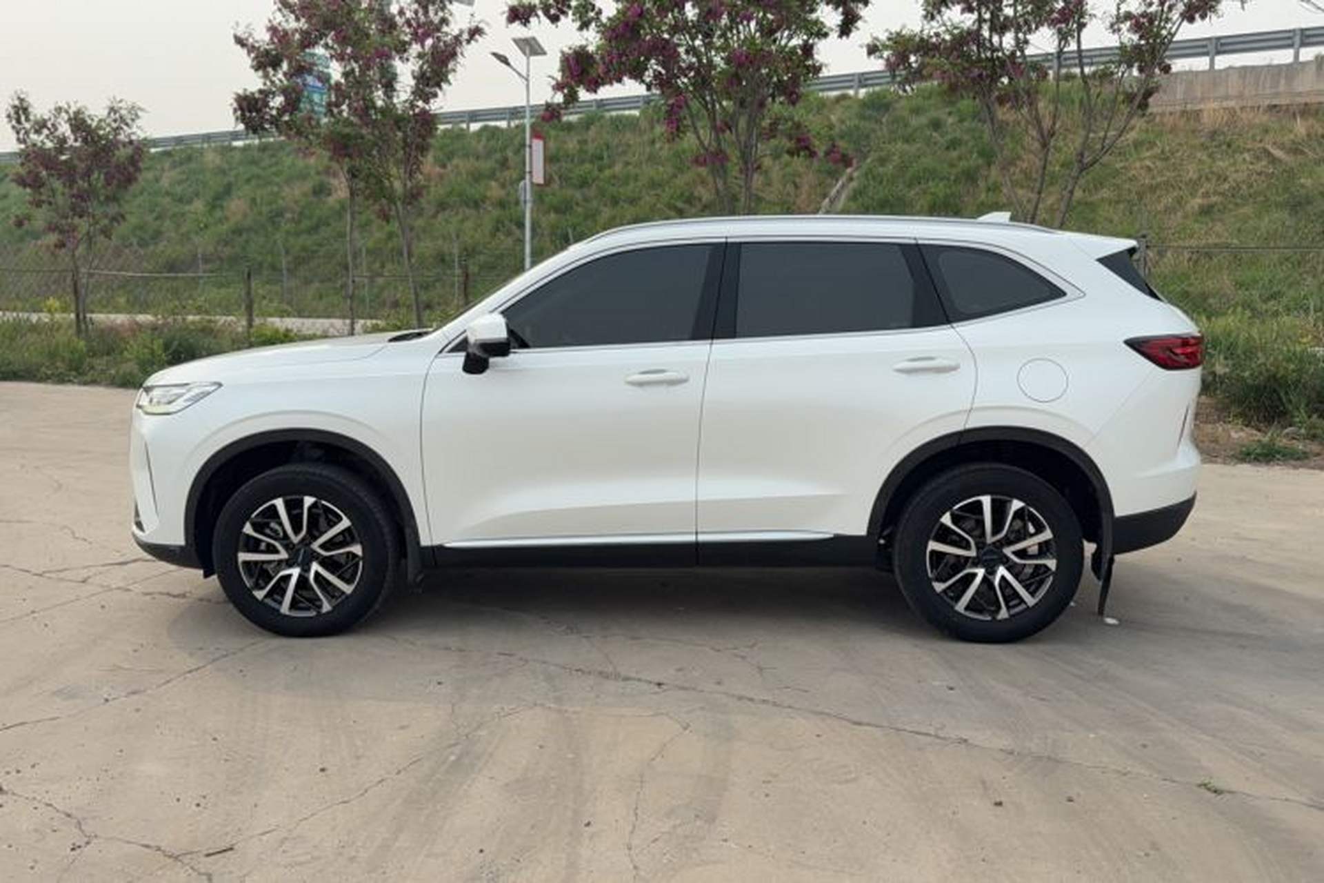 Used Haval H6 2021 3rd Generation 1.5T Automatic Two-Wheel Drive Pro Exterior 2