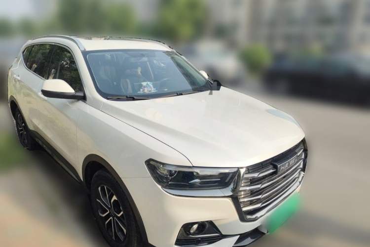 Used Haval H6 2021 National Trend Edition 1.5T Automatic Urban Version Exterior 2