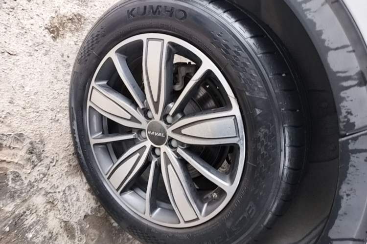 Used Haval H6 2021 1.5T Automatic Champion Edition Exterior 3
