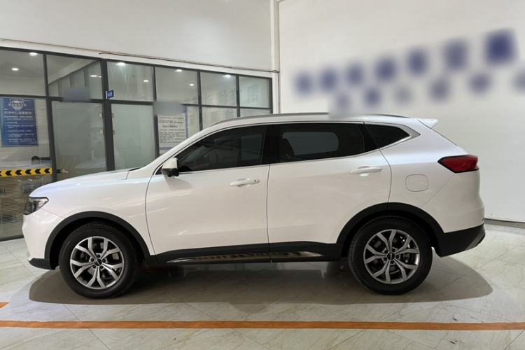Used Haval H6 2021 National Trend Edition 1.5T Automatic Champion Version Exterior 3
