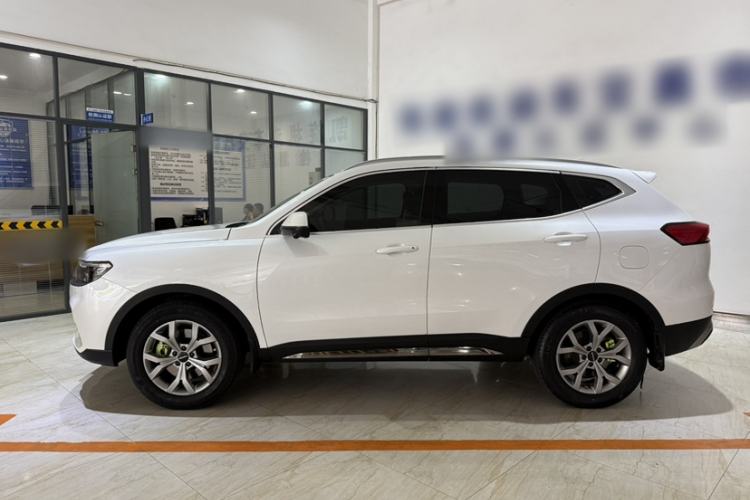 Used Haval H6 2021 National Trend Edition 1.5T Automatic Champion Version Exterior 3