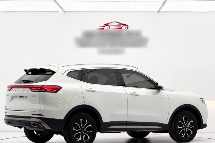 Used Haval H6 2021 National Trend Edition 1.5T Automatic Urban Version Exterior 3