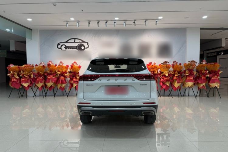 Used Haval H6 2021 National Trend Edition 1.5T Automatic Urban Version Exterior 3