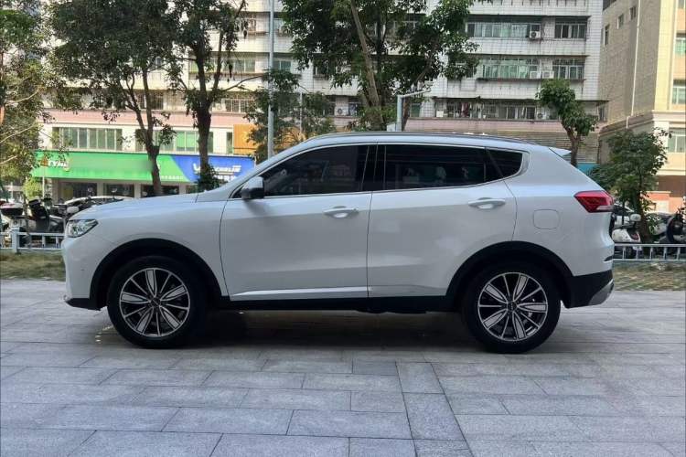 Used Haval H6 2021 1.5T Automatic Champion Edition Exterior 3