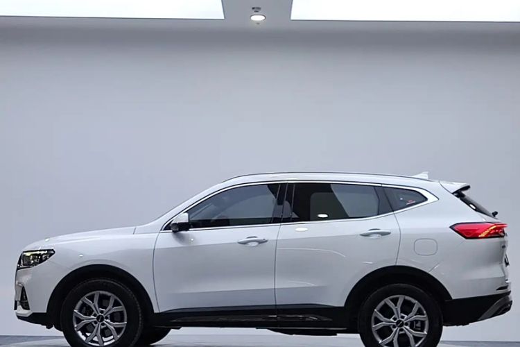 Used Haval H6 2021 National Trend Edition 1.5T Automatic Champion Version Exterior 3