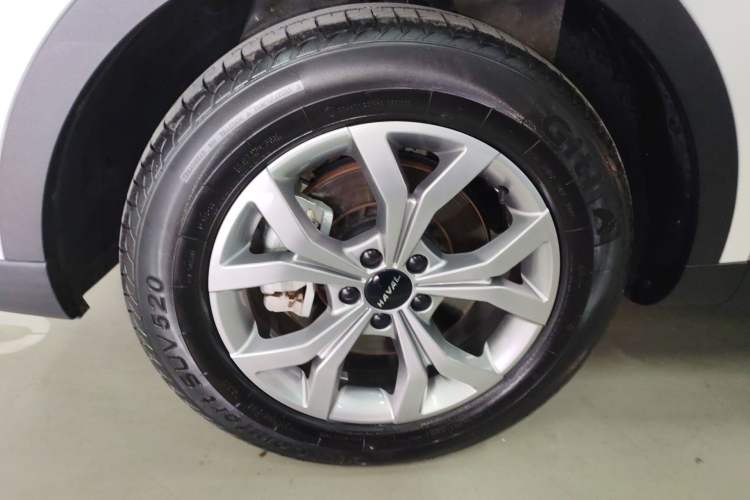 Used Haval H6 2021 National Trend Edition 1.5T Automatic Champion Version Exterior 4