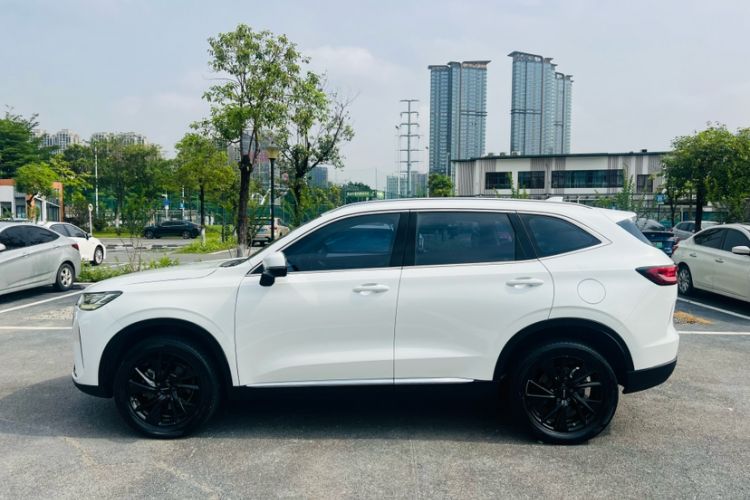 Used Haval H6 2021 3rd Generation 2.0T Automatic All-Wheel Drive Max Exterior 4