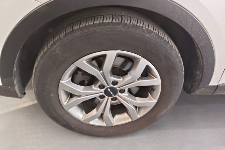 Used Haval H6 2021 National Trend Edition 1.5T Automatic Champion Version Exterior 4