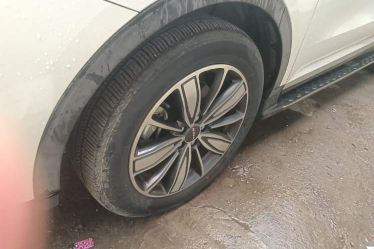 Used Haval H6 2021 1.5T Automatic Champion Edition Exterior 4
