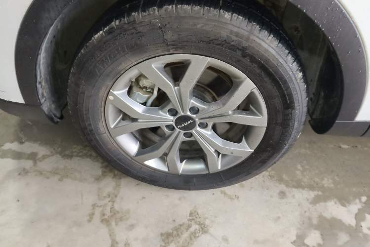Used Haval H6 2021 National Trend Edition 1.5T Automatic Champion Version Exterior 4