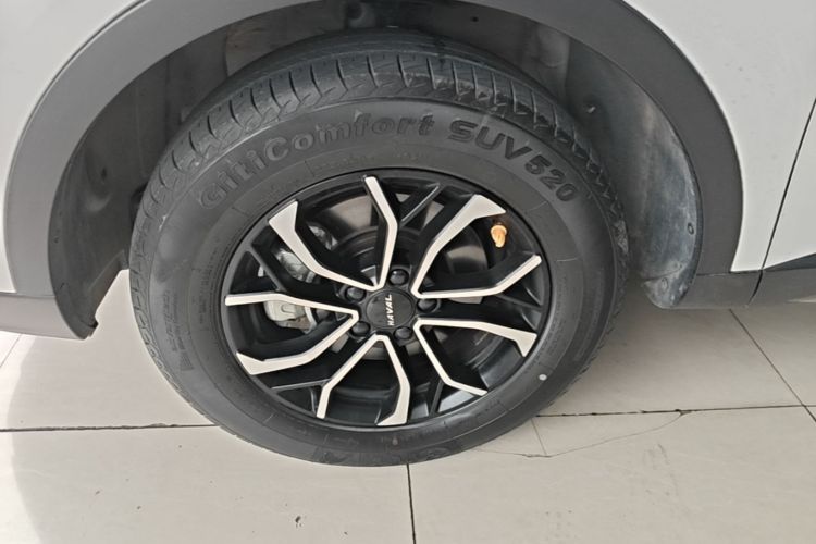Used Haval H6 2021 National Trend Edition 1.5T Automatic Urban Version Exterior 4