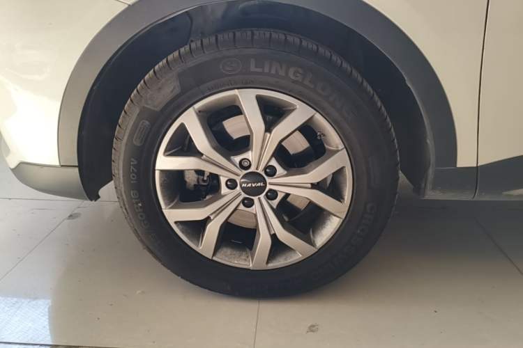 Used Haval H6 2021 National Trend Edition 1.5T Automatic Champion Version Exterior 4