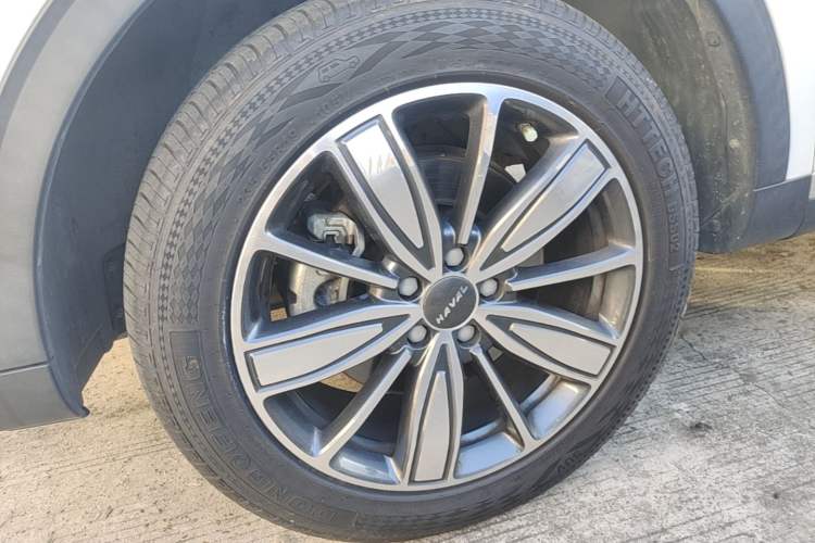 Used Haval H6 2021 1.5 GDIT Automatic Champion Edition Exterior 4