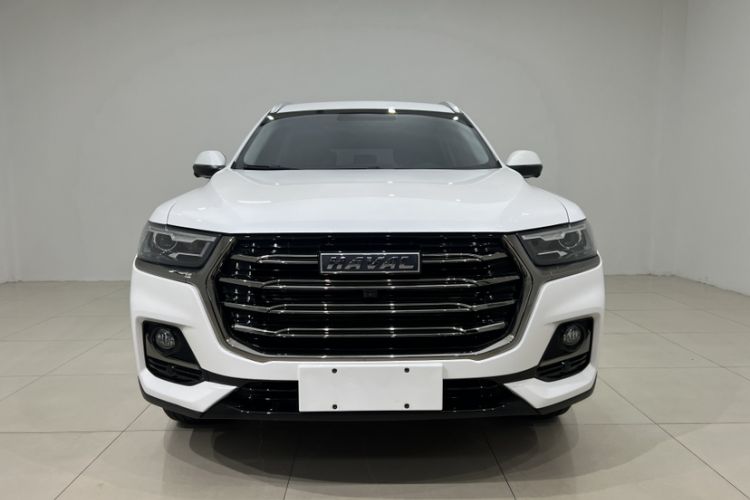 Used Haval H6 2021 National Trend Edition 1.5T Automatic Champion Version Exterior 4