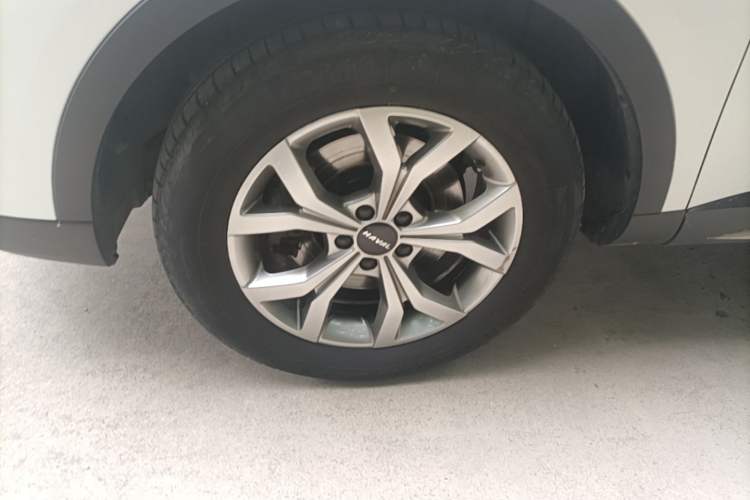 Used Haval H6 2021 National Trend Edition 1.5T Automatic Champion Version Exterior 4