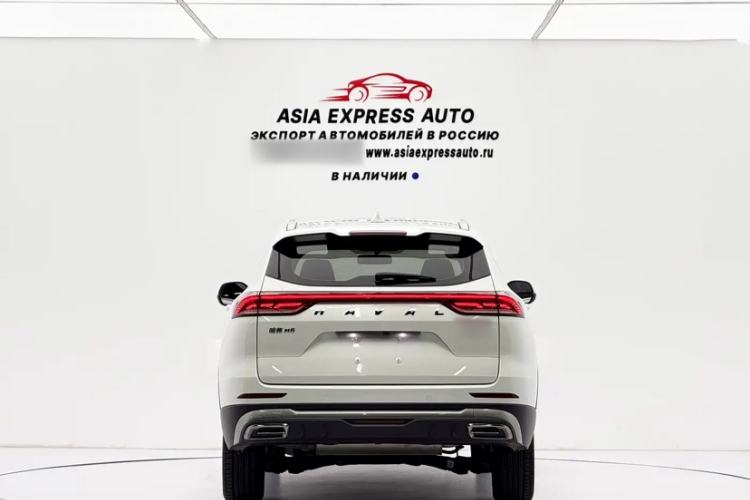 Used Haval H6 2021 National Trend Edition 1.5T Automatic Urban Version Exterior 4