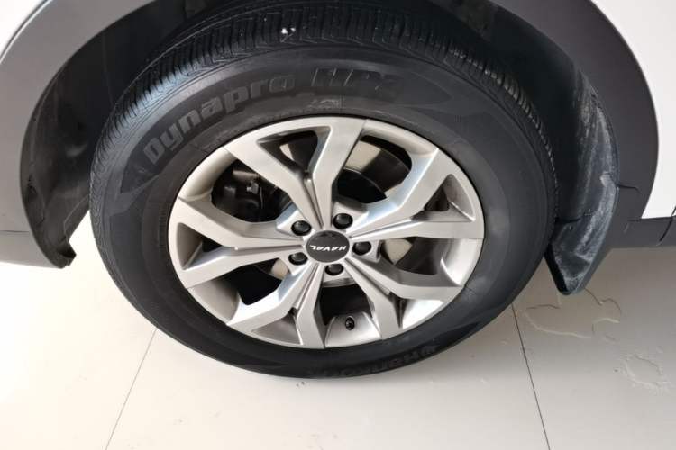 Used Haval H6 2021 National Trend Edition 1.5T Automatic Champion Version Exterior 4