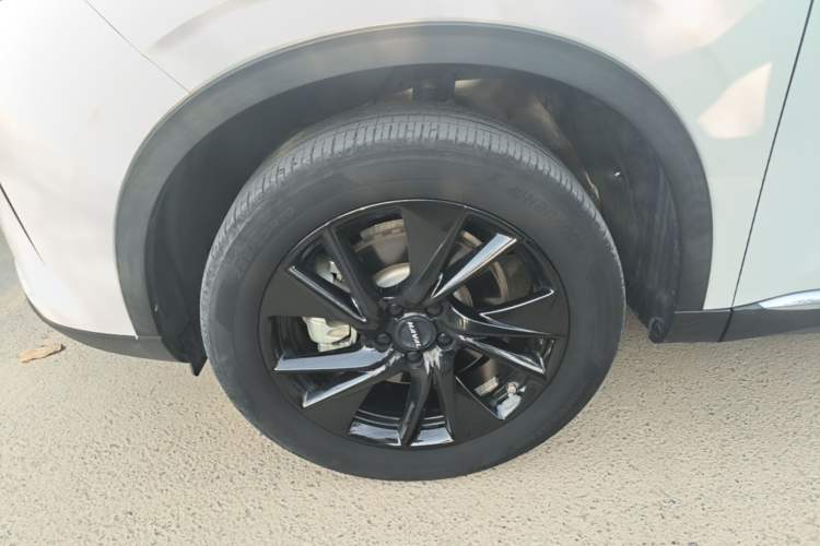 Used Haval H6 2021 3rd Generation 2.0T Automatic Two-Wheel Drive Max Exterior 4