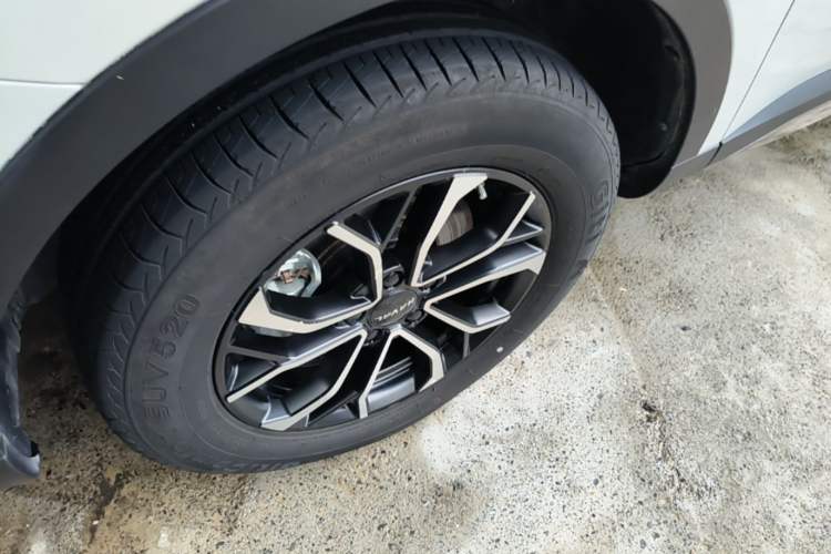 Used Haval H6 2021 National Trend Edition 1.5T Automatic Urban Version Exterior 4
