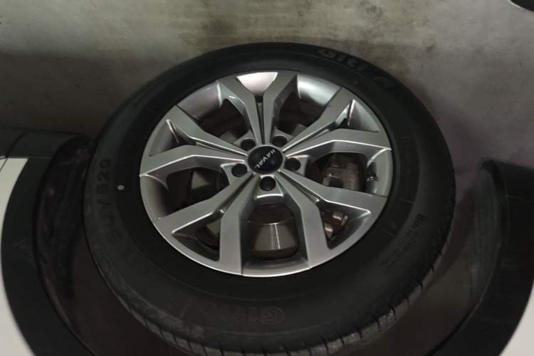 Used Haval H6 2021 National Trend Edition 1.5T Automatic Champion Version Exterior 4