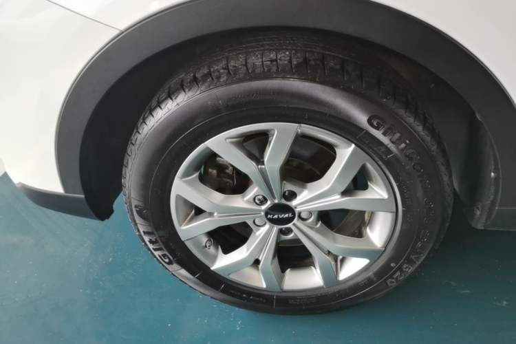 Used Haval H6 2021 National Trend Edition 1.5T Automatic Champion Version Exterior 4
