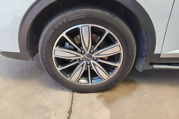 Used Haval H6 2021 1.5T Automatic Champion Edition Exterior 4