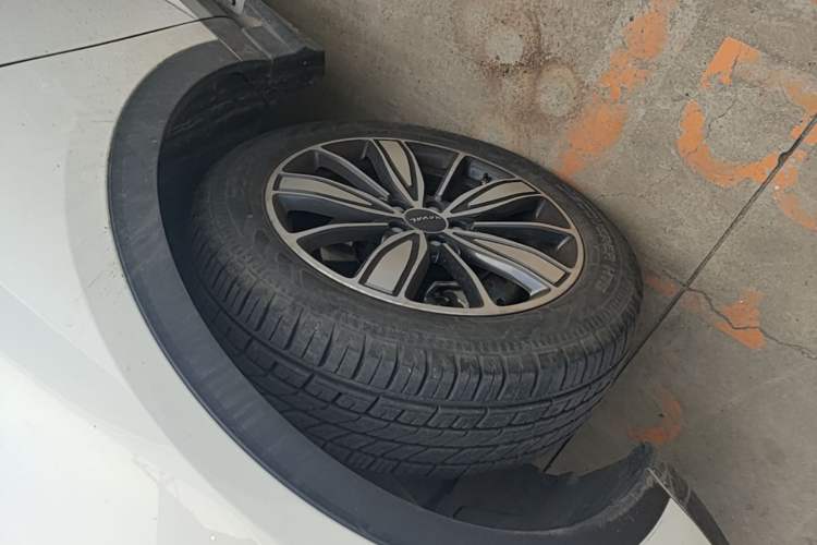 Used Haval H6 2021 1.5 GDIT Automatic Champion Edition Exterior 4
