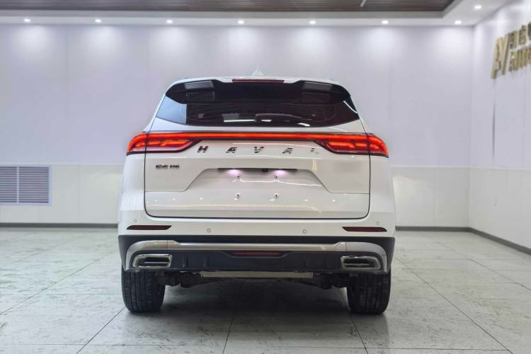Used Haval H6 2021 National Trend Edition 1.5T Automatic Champion Version Exterior 4
