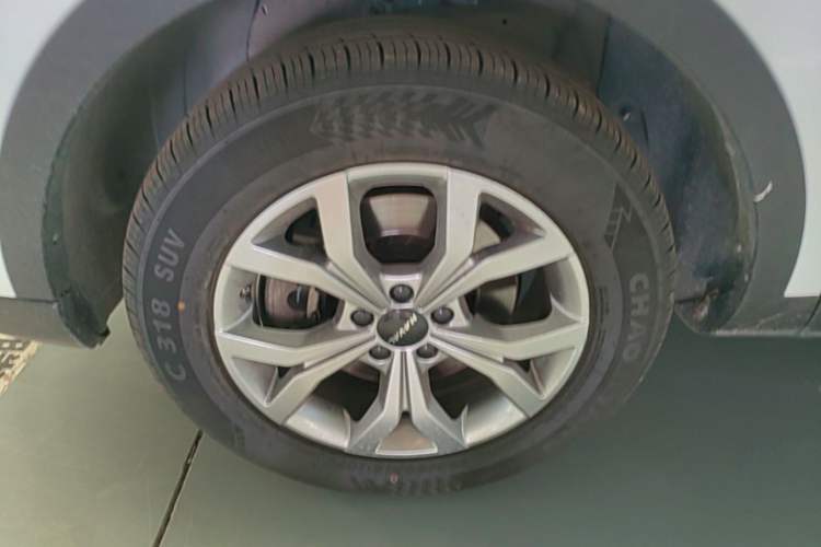 Used Haval H6 2021 China Trend Edition 1.5 GDIT Automatic Champion Version Exterior 4