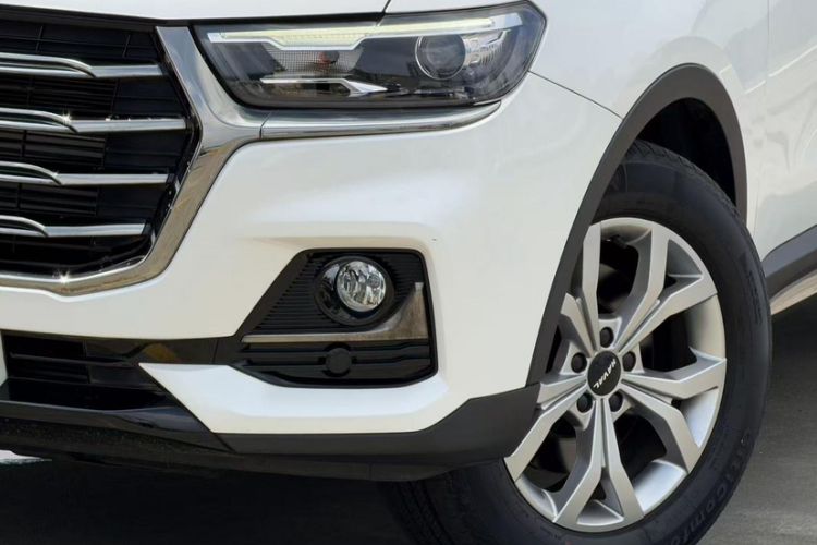 Used Haval H6 2021 National Trend Edition 1.5T Automatic Champion Version Exterior 5