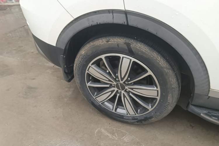 Used Haval H6 2021 1.5T Automatic Champion Edition Exterior 5