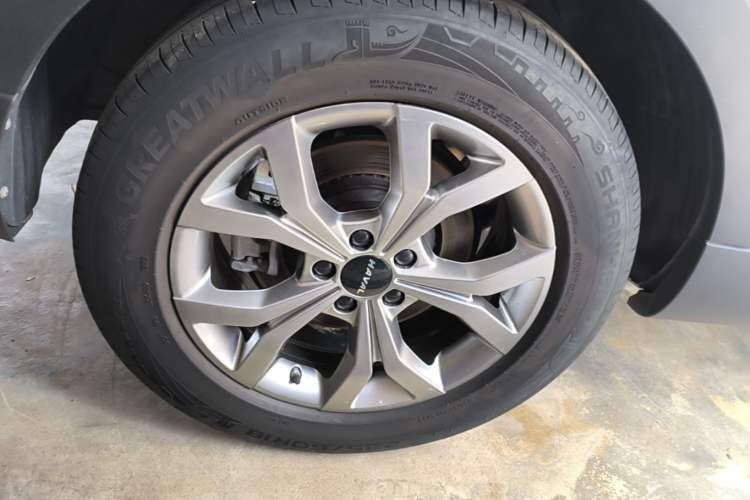 Used Haval H6 2021 National Trend Edition 1.5T Automatic Champion Version Exterior 5