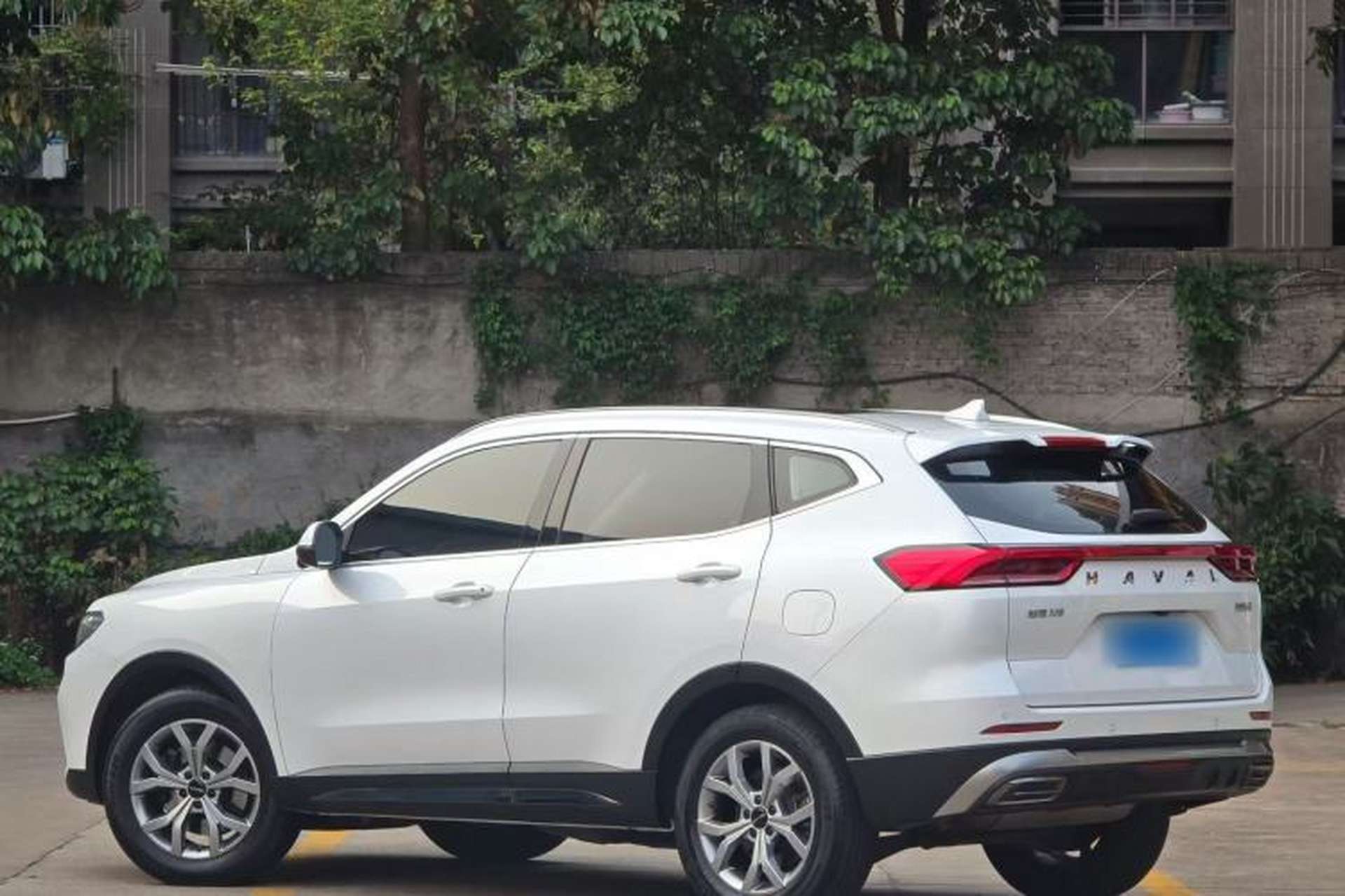 Used Haval H6 2021 National Trend Edition 1.5T Automatic Champion Version Exterior 5