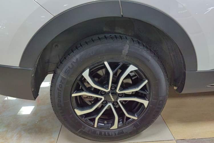 Used Haval H6 2021 National Trend Edition 1.5T Automatic Urban Version Exterior 5