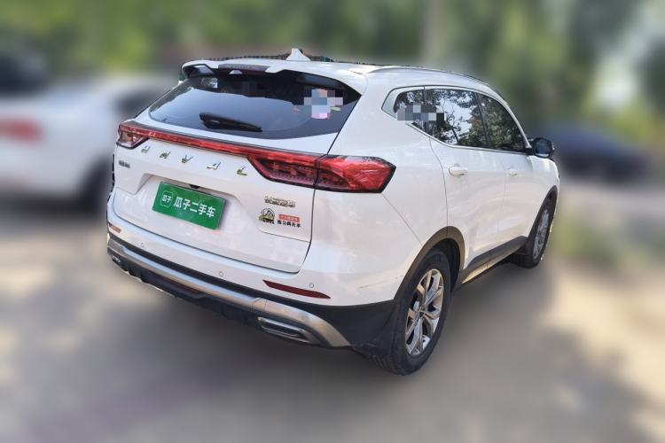Used Haval H6 2021 National Trend Edition 1.5T Automatic Champion Version Exterior 5