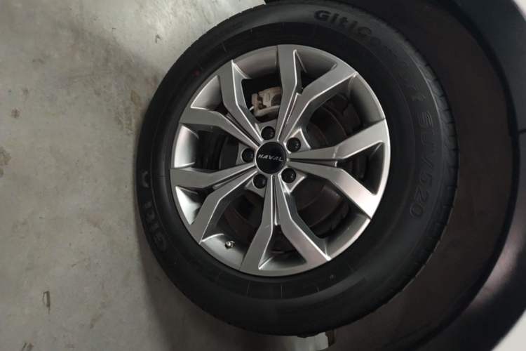 Used Haval H6 2021 National Trend Edition 1.5T Automatic Champion Version Exterior 5