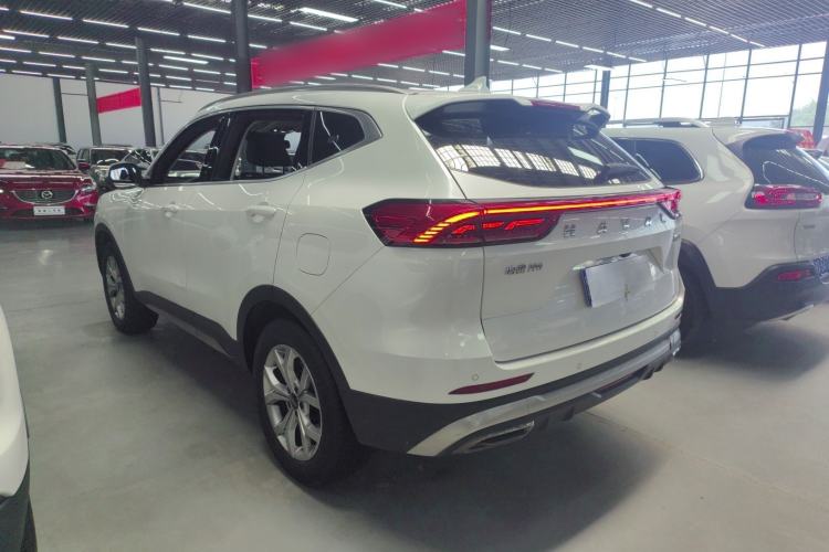 Used Haval H6 2021 China Trend Edition 1.5 GDIT Automatic Champion Version Exterior 5
