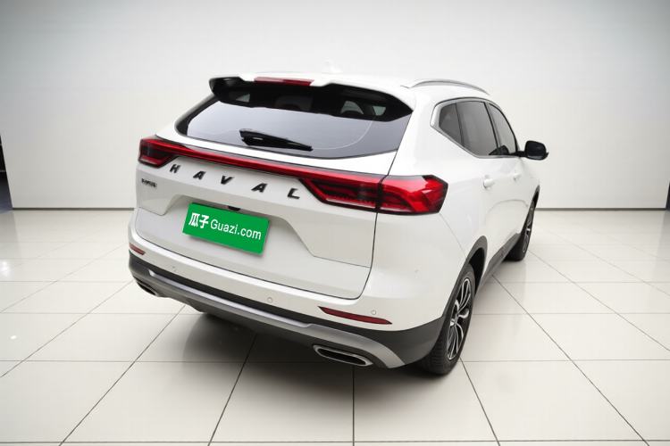 Used Haval H6 2021 National Trend Edition 1.5T Automatic Urban Version Exterior 5