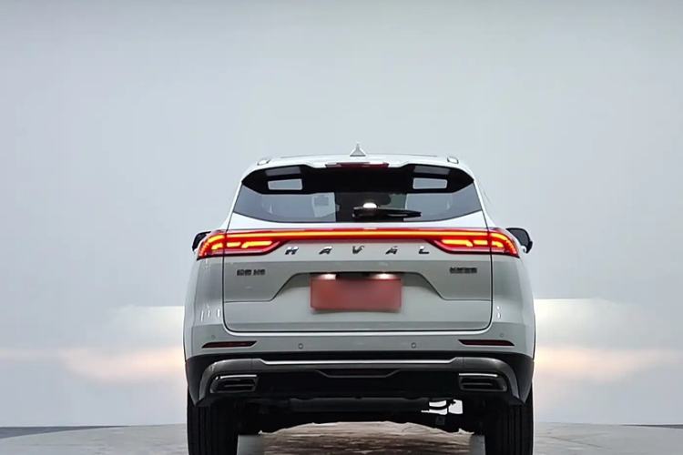 Used Haval H6 2021 National Trend Edition 1.5T Automatic Champion Version Exterior 5