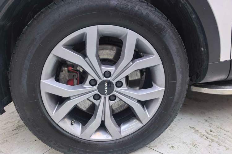 Used Haval H6 2021 National Trend Edition 1.5T Automatic Champion Version Exterior 5