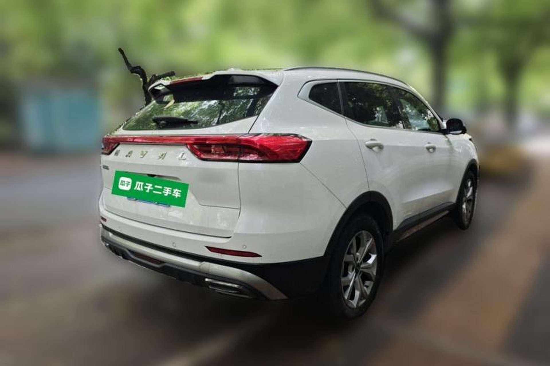 Used Haval H6 2021 National Trend Edition 1.5T Automatic Champion Version Exterior 5