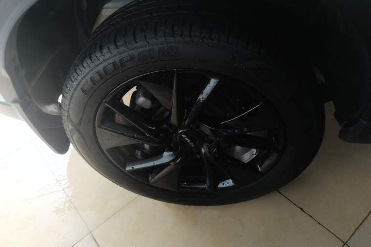 Used Haval H6 2021 3rd Generation 2.0T Automatic Two-Wheel Drive Max Exterior 5