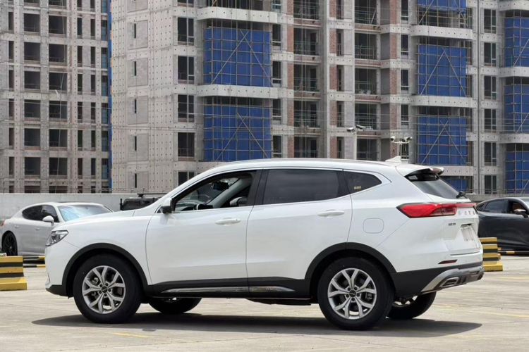 Used Haval H6 2021 National Trend Edition 1.5T Automatic Champion Version Exterior 6