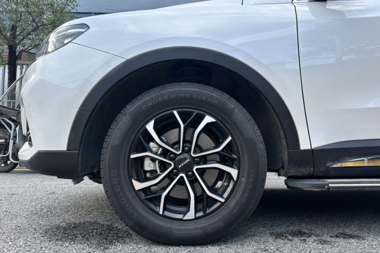 Used Haval H6 2021 National Trend Edition 1.5T Automatic Urban Version Exterior 7