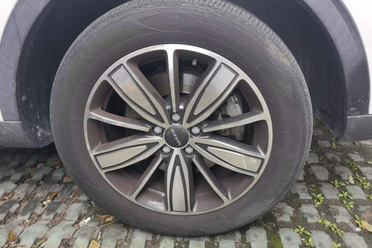 Used Haval H6 2021 1.5 GDIT Automatic Champion Edition Exterior 7