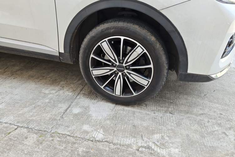 Used Haval H6 2021 1.5T Automatic Champion Edition Exterior 7