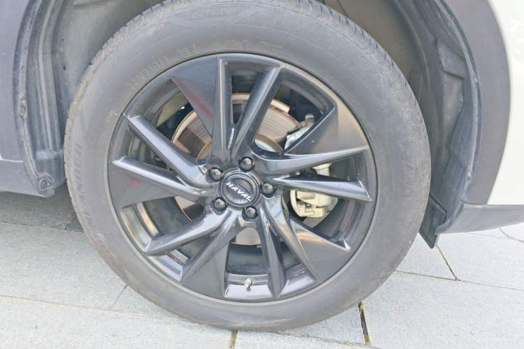 Used Haval H6 2021 3rd Generation 2.0T Automatic Two-Wheel Drive Max Exterior 7