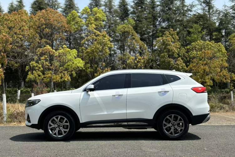 Used Haval H6 2021 China Trend Edition 1.5 GDIT Automatic Champion Version Exterior 8