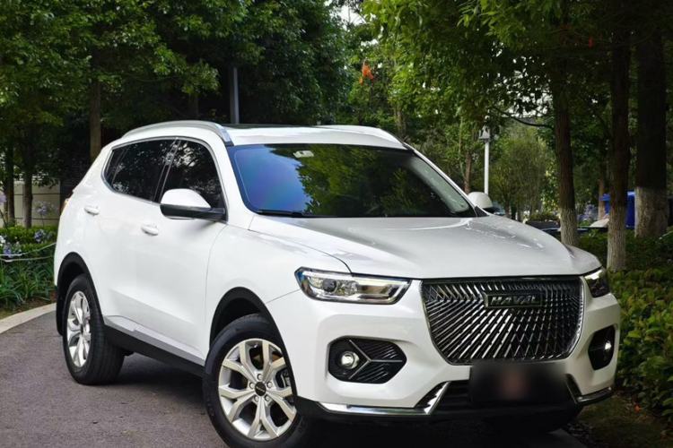 Used Haval H6 2021 1.5T Automatic Urban Edition Exterior 8